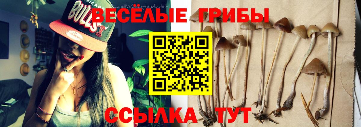 Псилоцибиновые грибы ЛСД Белово