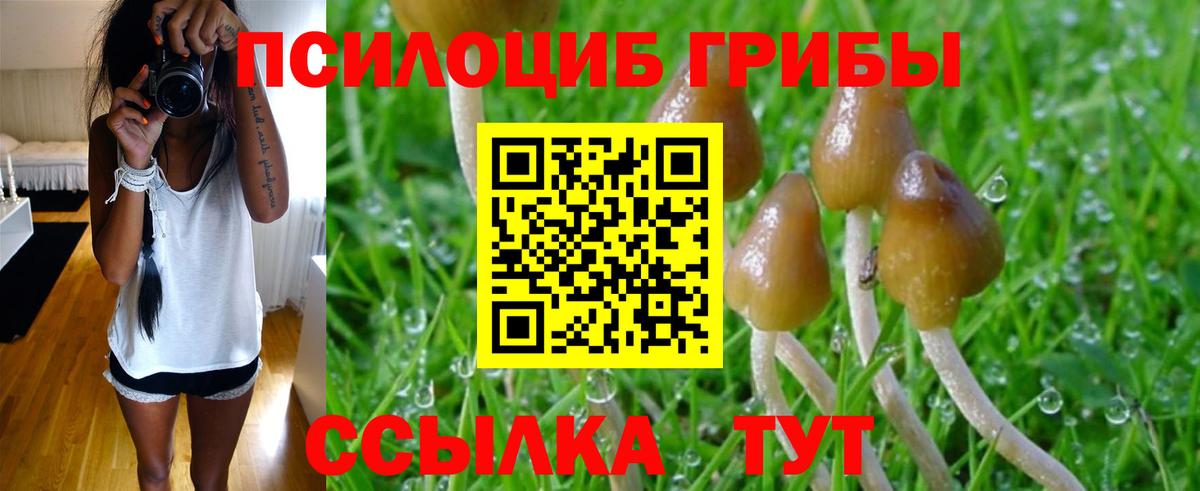 Псилоцибиновые грибы прущие грибы  Псилоцибиновые грибы MAGIC MUSHROOMS  Вход с VPN  Белово 